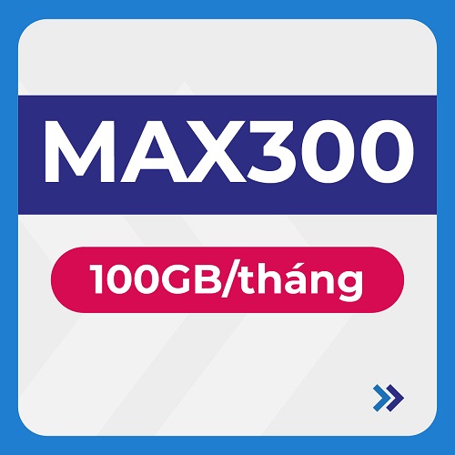 MAX300 12T